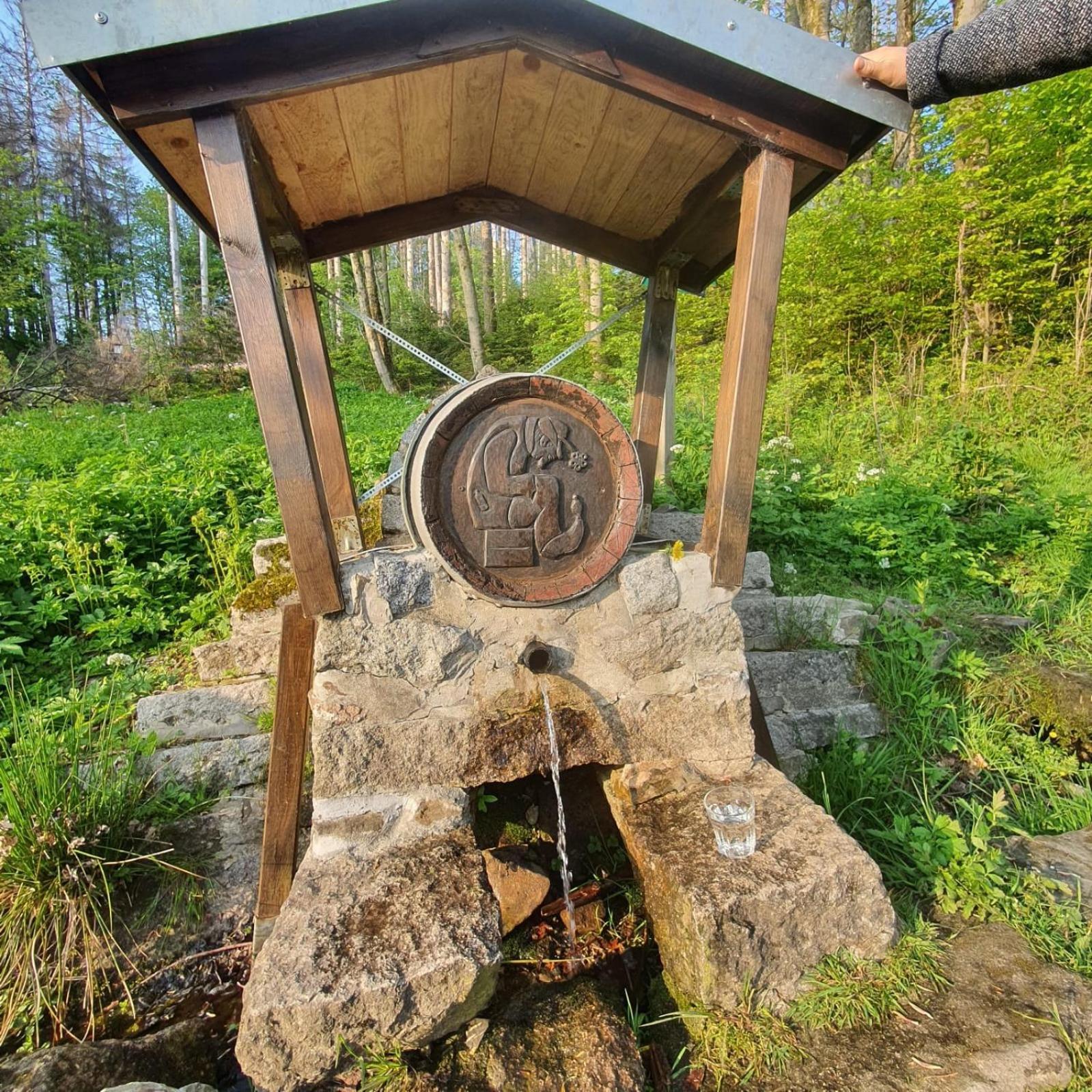 Unik Villa Sankt Andreasberg Exteriör bild